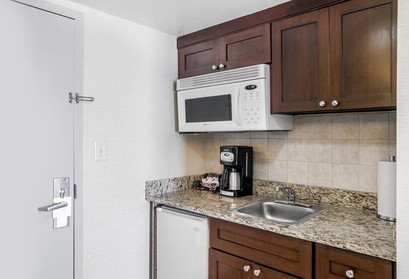 إستوديو قياسى مطل على البحر, Beach Quarters Resort