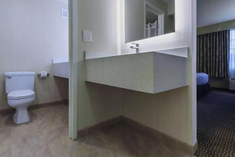 اتاق استاندارد با تخت بزرگ, Best Western Plus Carriage Inn