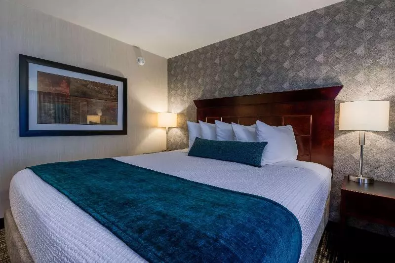 اتاق استاندارد با تخت بزرگ, Best Western Plus Carriage Inn