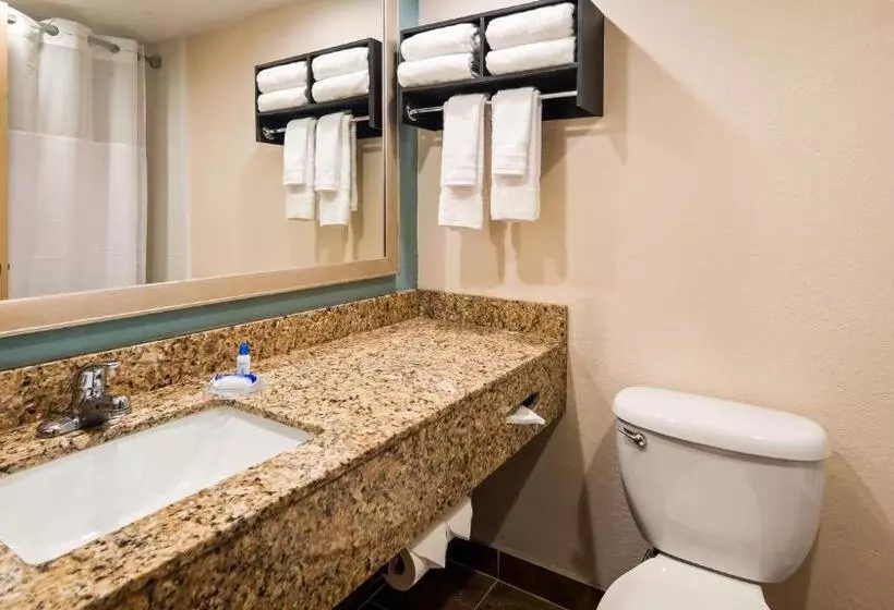 اتاق اجرایی با تخت بزرگ, Holiday Inn & Suites Columbia Ne   Ft Jackson Area By Ihg