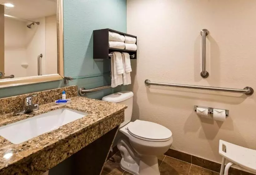 اتاق استاندارد با تخت بزرگ برای معلولان, Holiday Inn & Suites Columbia Ne   Ft Jackson Area By Ihg