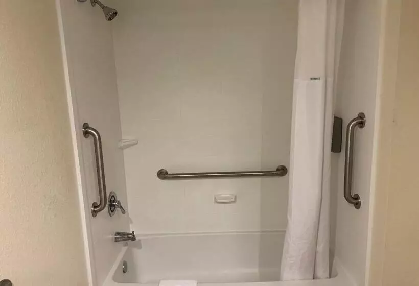 اتاق استاندارد برای معلولان, Holiday Inn & Suites Columbia Ne   Ft Jackson Area By Ihg