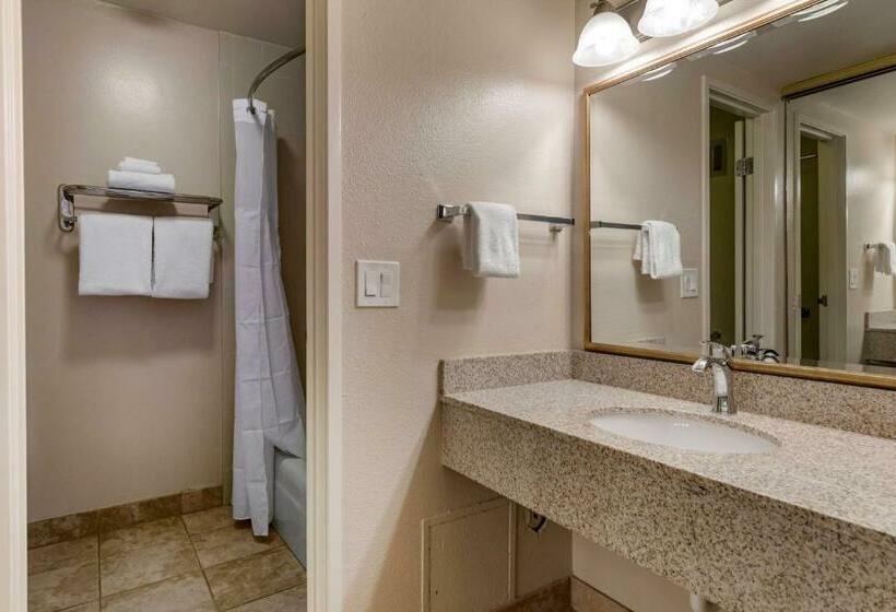 חדר סטנדרט עם מיטת קינג, Best Western Plus Royal Oak