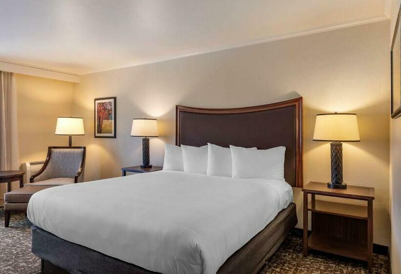 带大床的标准间, Best Western Plus Royal Oak