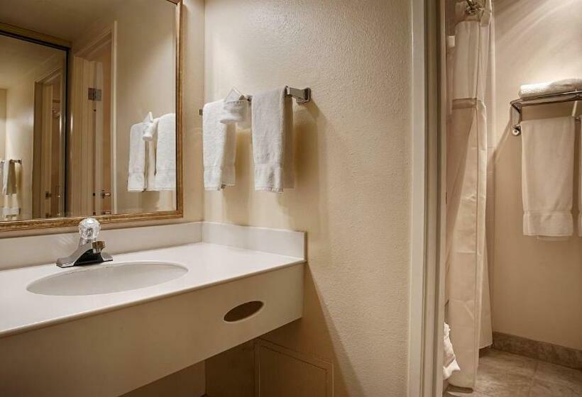 غرفة قياسية سرير كينج, Best Western Plus Royal Oak