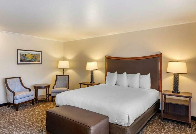 带大床的标准间, Best Western Plus Royal Oak