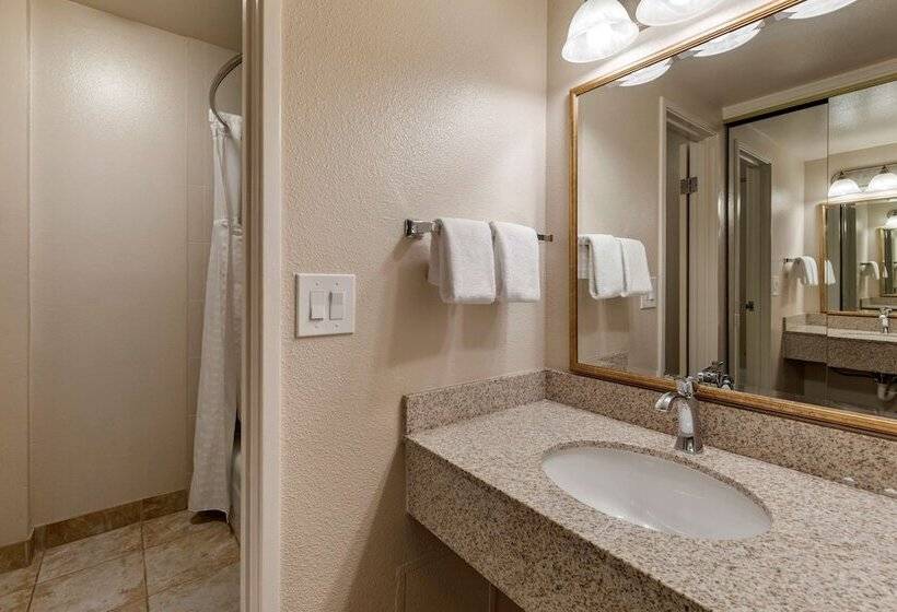 غرفه قياسيه سريرين مزدوجين, Best Western Plus Royal Oak