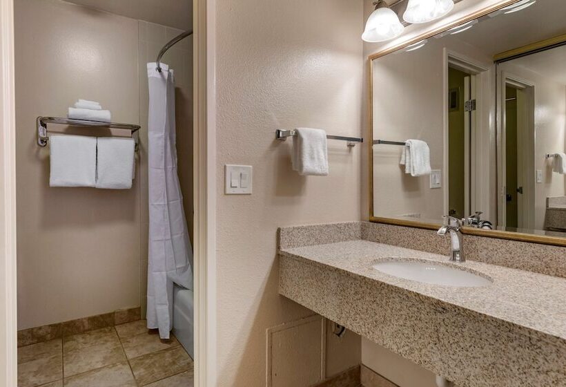 חדר סטנדרט מיטה זוגית, Best Western Plus Royal Oak