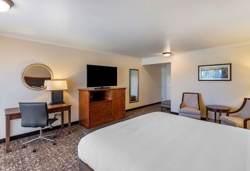 标准间带双人床, Best Western Plus Royal Oak
