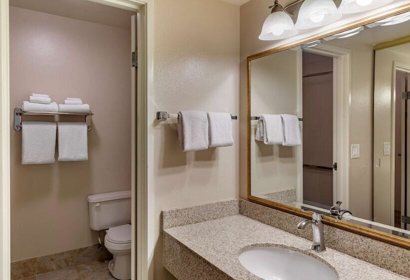 غرفة قياسية سرير مزدوج, Best Western Plus Royal Oak