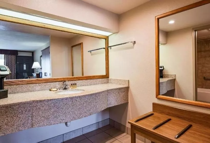 اتاق استاندارد با تخت بزرگ, Best Western Plus Saddleback Inn And Conference Center