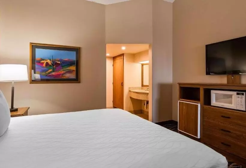 سوئیت اجرایی با تخت کینگ, Best Western Plus Saddleback Inn And Conference Center