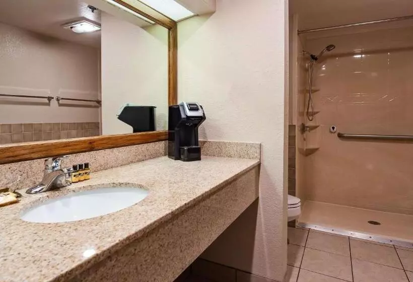 اتاق استاندارد با تخت بزرگ برای معلولان, Best Western Plus Saddleback Inn And Conference Center