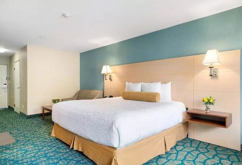 اتاق استاندارد, Casablanca Inn