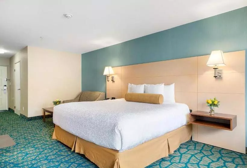 اتاق استاندارد با تخت بزرگ, Casablanca Inn