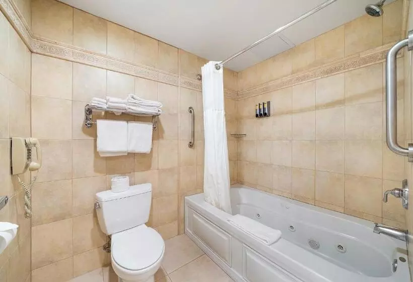 اتاق استاندارد با تخت بزرگ, Casablanca Inn