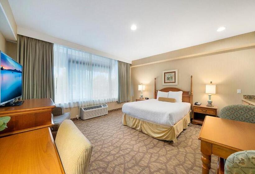 身障者適用キングサイズベッドルーム, Casablanca Inn