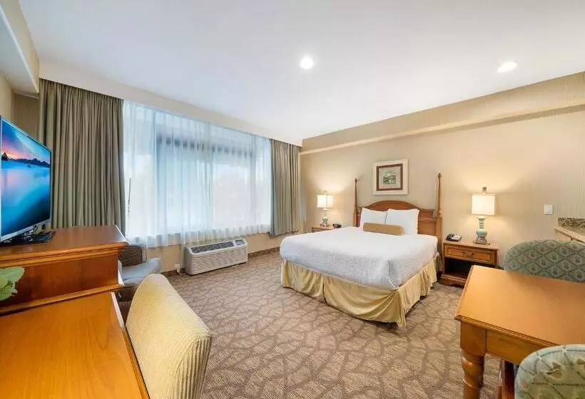 اتاق استاندارد با تخت بزرگ برای معلولان, Casablanca Inn