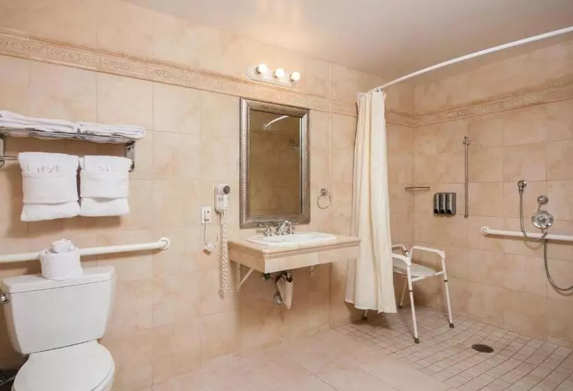 اتاق استاندارد برای معلولان, Casablanca Inn