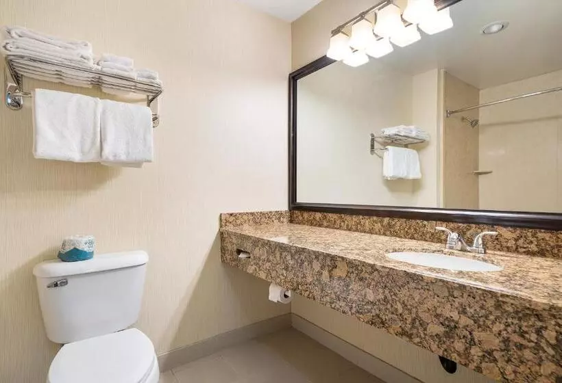 اتاق استاندارد برای معلولان, Casablanca Inn