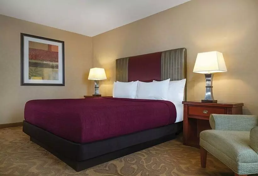 اتاق لوکس با تخت بزرگ, Circus Circus Hotel, Casino & Theme Park