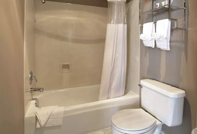 エクゼクティブスイート, City Center Inn And Suites