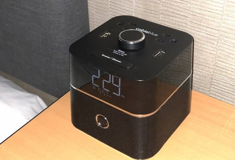 جناح إدارى, City Center Inn And Suites