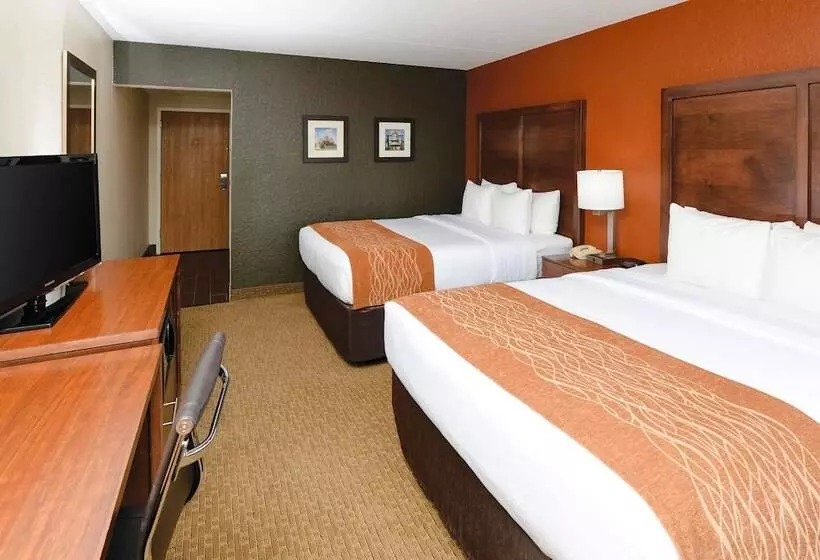 اتاق استاندارد با 2 تخت دوبل, Comfort Inn & Suites Event Center