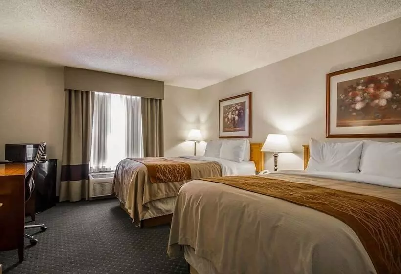 ２ダブルベッドのスタンダードルーム, Comfort Inn