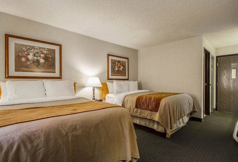 Номер Стандарт 2 Двуспальные Кровати, Comfort Inn