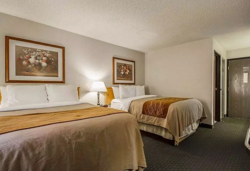 ２ダブルベッドのスタンダードルーム, Comfort Inn