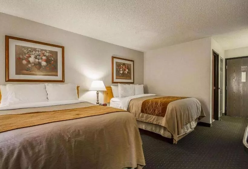 ２ダブルベッドのスタンダードルーム, Comfort Inn
