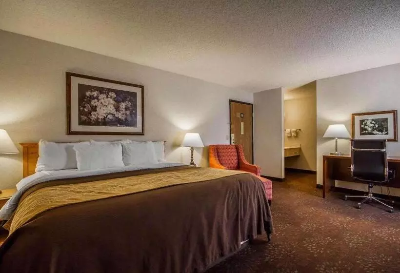 キングサイズベッドのスタンダードルーム, Comfort Inn
