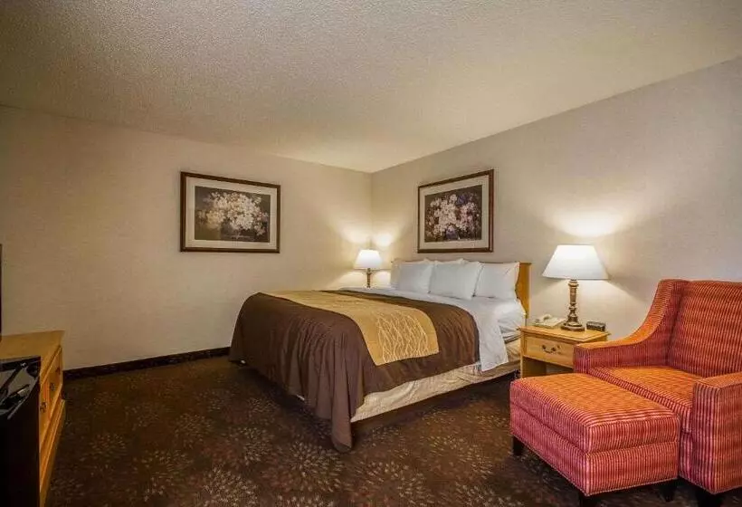 キングサイズベッドのスタンダードルーム, Comfort Inn