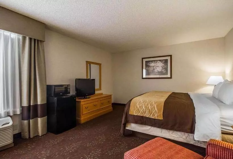 キングサイズベッドのスタンダードルーム, Comfort Inn