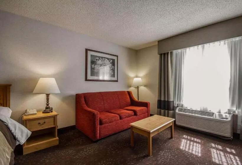 キングサイズベッドのスイートルーム, Comfort Inn