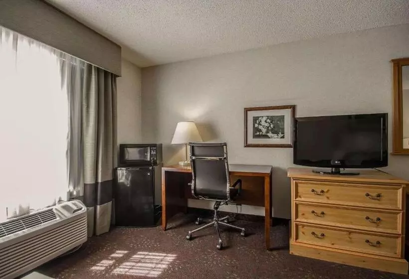 キングサイズベッドのスイートルーム, Comfort Inn