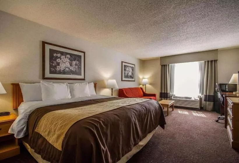 キングサイズベッドのスイートルーム, Comfort Inn