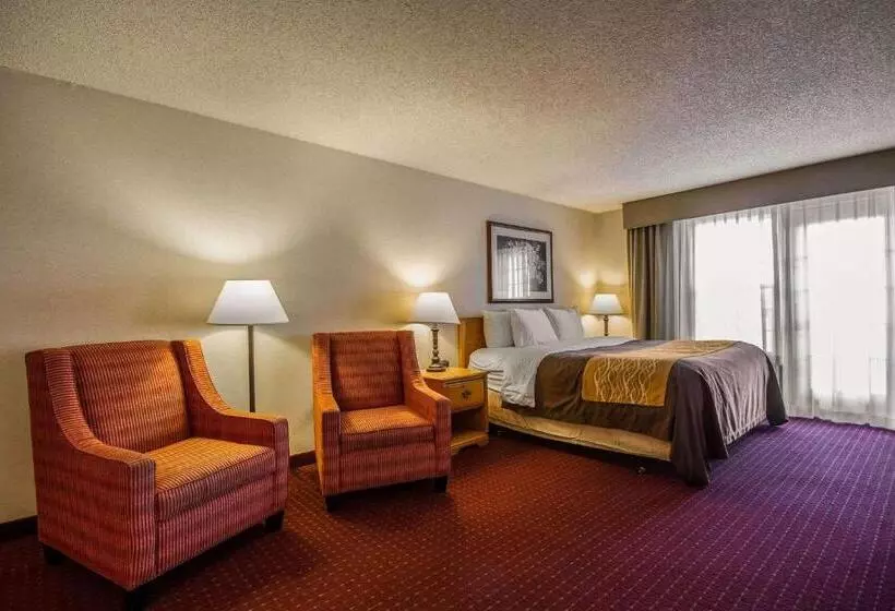 キングサイズベッドのスイートルーム, Comfort Inn
