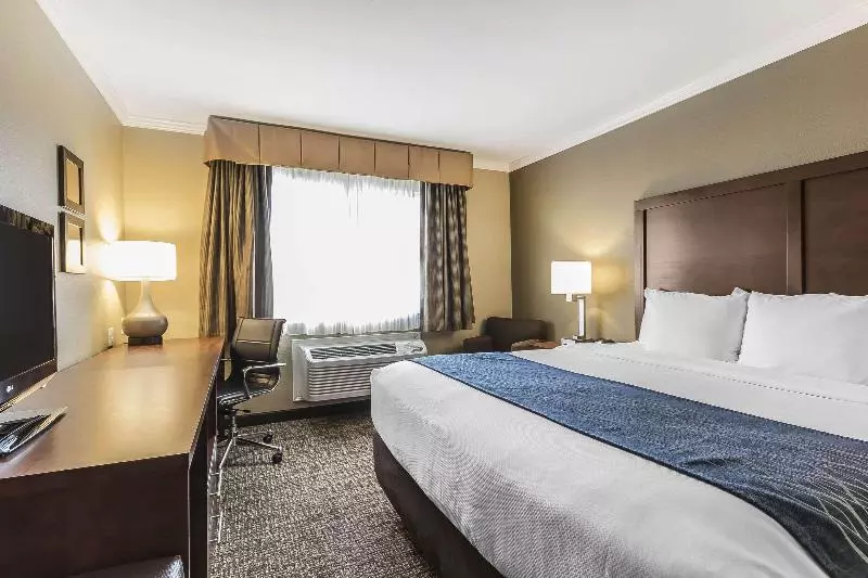 اتاق استاندارد با تخت بزرگ, Comfort Inn Sunnyvale  Silicon Valley