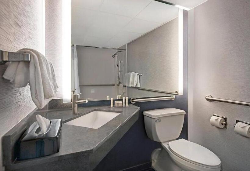 חדר סטנדרט עם מיטת קינג, Courtyard Chicago Elmhurst/oakbrook Area