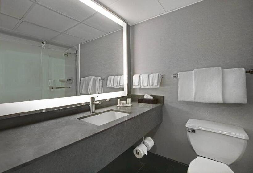 חדר סטנדרט עם מיטת קינג, Courtyard Chicago Elmhurst/oakbrook Area