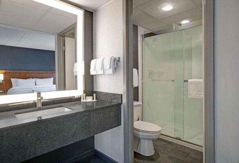 מיטת קינג בסוויטה, Courtyard Chicago Elmhurst/oakbrook Area