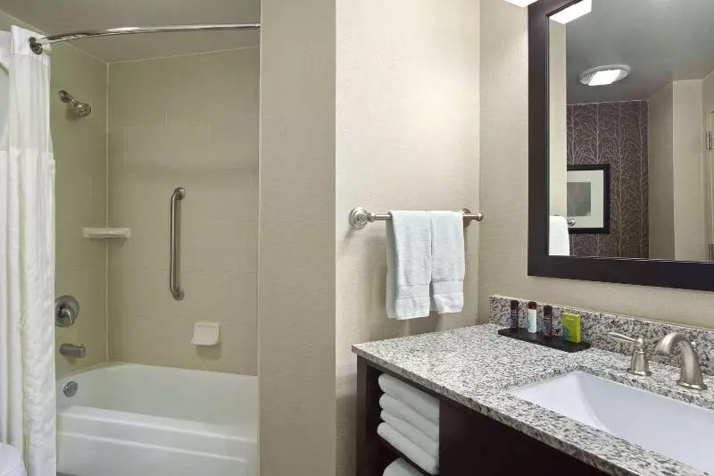 سوئیت با تخت بزرگ, Embassy Suites By Hilton St. Louis Airport