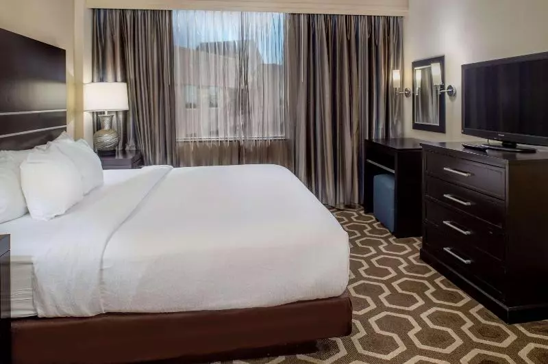 سوئیت با تخت بزرگ, Embassy Suites By Hilton St. Louis Airport