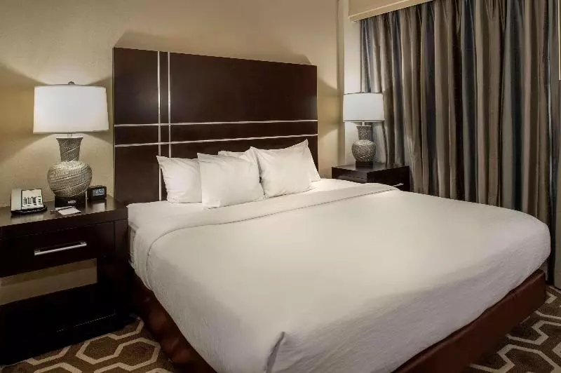 سوئیت با تخت بزرگ, Embassy Suites By Hilton St. Louis Airport