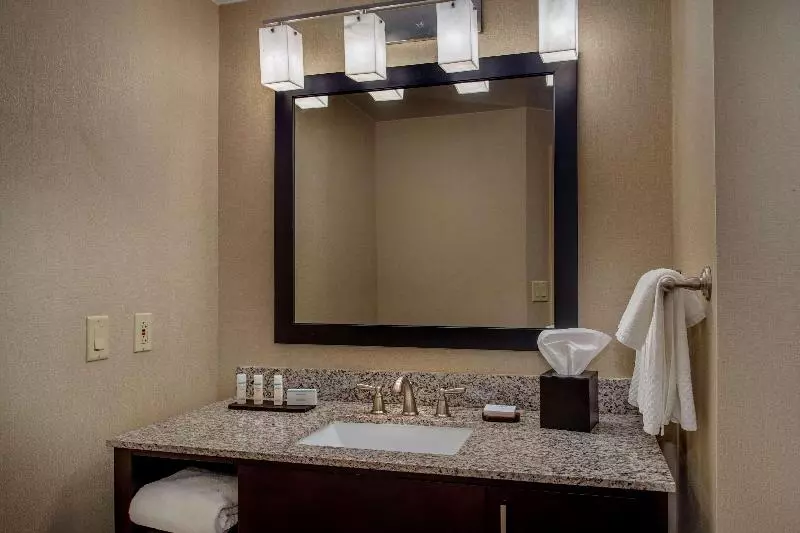 سوئیت با تخت بزرگ, Embassy Suites By Hilton St. Louis Airport