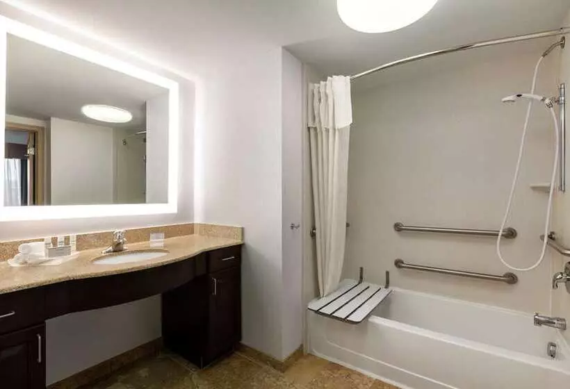 اتاق استاندارد, Embassy Suites By Hilton St. Louis Airport
