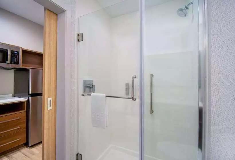 اتاق استاندارد, Embassy Suites By Hilton St. Louis Airport