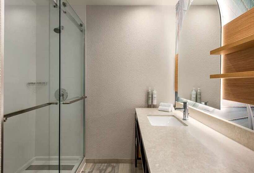 جناح سرير كينج, Hilton College Station & Conference Center